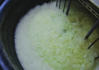 藻類の力で「貴金属リサイクル率」向上...日本発スタートアップ、ガルデリアの世界戦略