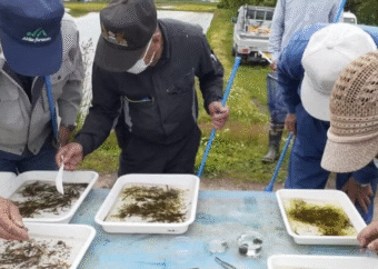 「びっくりドンキー」と生物多様性...田んぼの生態系を支える「生きもの調査」とは