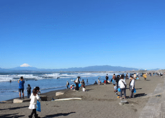 相模湾の海洋環境を守る「未来への挑戦」──シナネンあかりの森プロジェクト×新江ノ島水族館