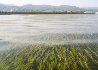 「水の可能性」を探究し、環境改善と経済成長の両立を目指す赤塚植物園グループの挑戦