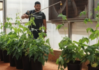 フードロス削減、農業課題解決...トレハロースで「安定的な食料確保」を目指すナガセヴィータ