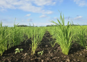 ビール製造時の副産物で農業課題を解決へ...アサヒバイオサイクルが創り出す農業の「未来」